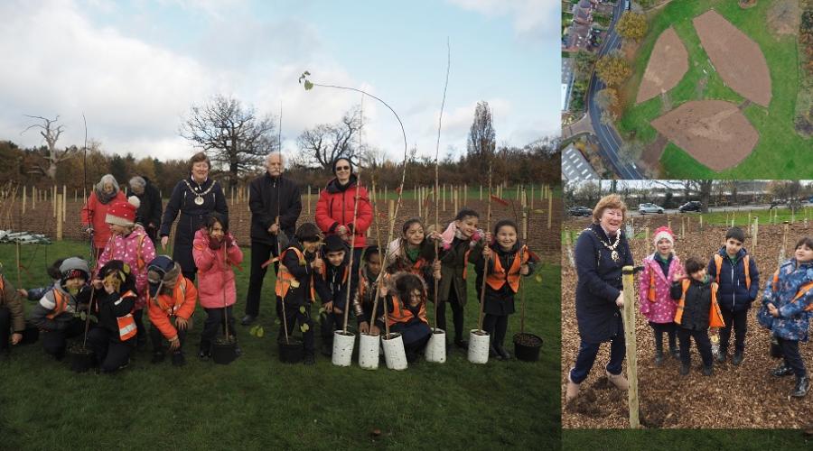 •	The Worshipful Mayor of Barnet is joined by children from Brookland Infant School, Hampstead Garden Suburb, to plant the new memorial woodland in Mill Hill Park.