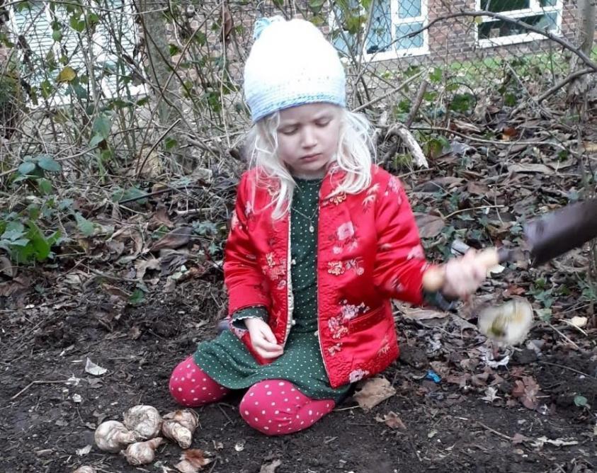 Bulb planting
